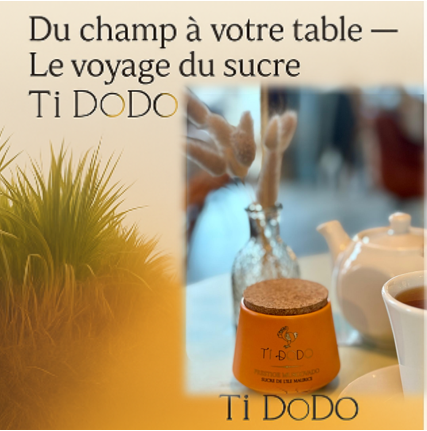 🌿Du champ à votre table 🍰— pourquoi choisir un sucre de canne non raffiné de l’île Maurice 🇲🇺 et équitable (Ti DoDo)