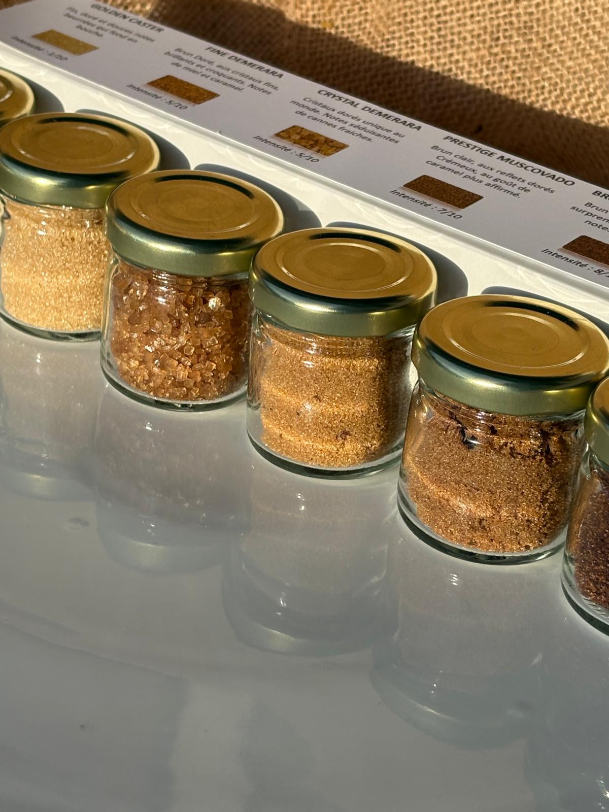 Coffret Découverte Ti DoDo